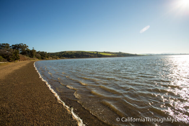 Tomales bay-5