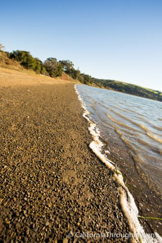 Tomales bay-6