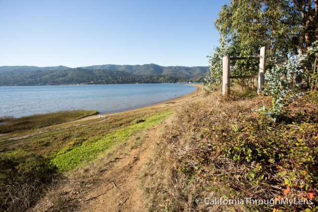 Tomales bay-9