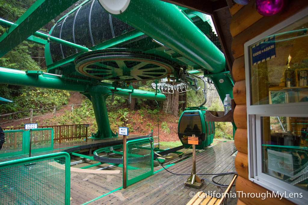 Trees of Mystery Giant Paul Bunyan, Crazy Trees and a Gondola Ride