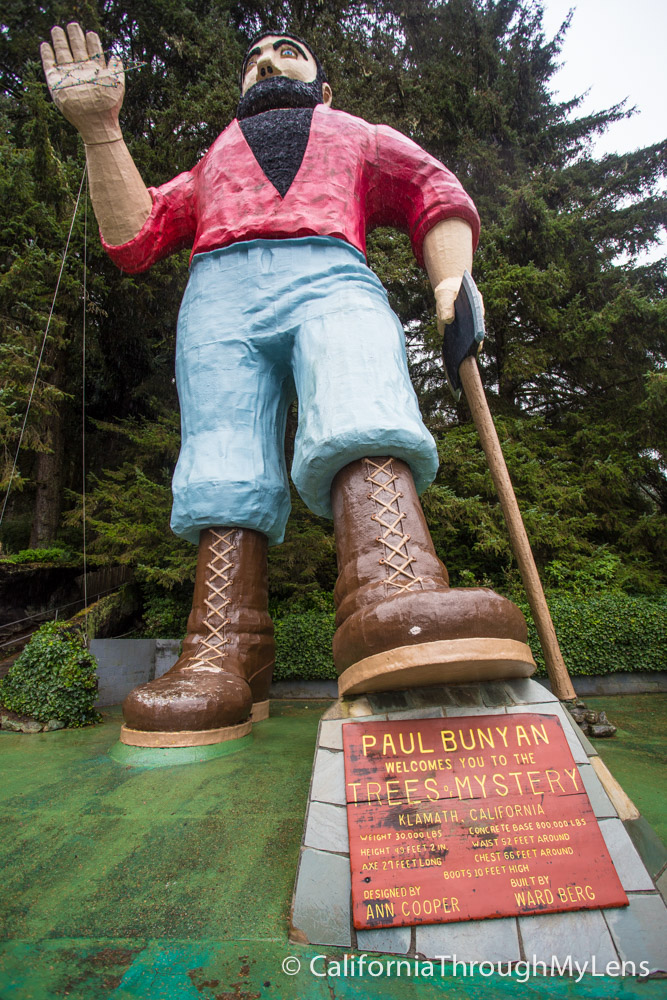 Árboles del Misterio El gigante Paul Bunyan, árboles locos y un paseo
