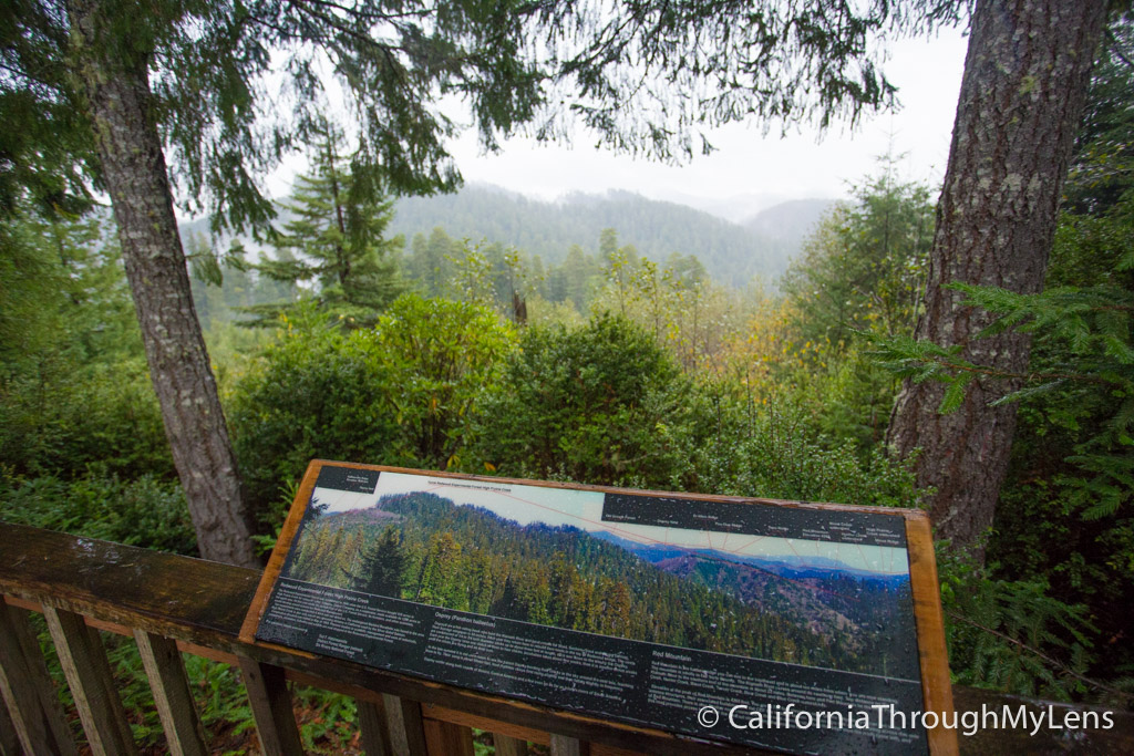 Trees of Mystery Giant Paul Bunyan, Crazy Trees and a Gondola Ride