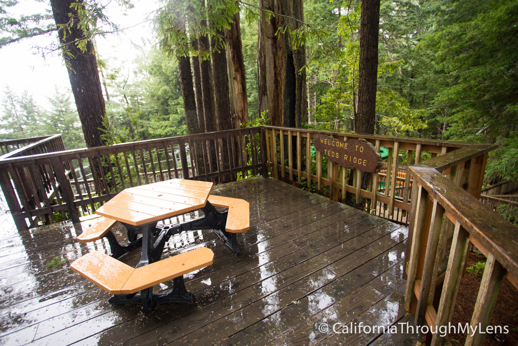Trees of Mystery Giant Paul Bunyan, Crazy Trees and a Gondola Ride