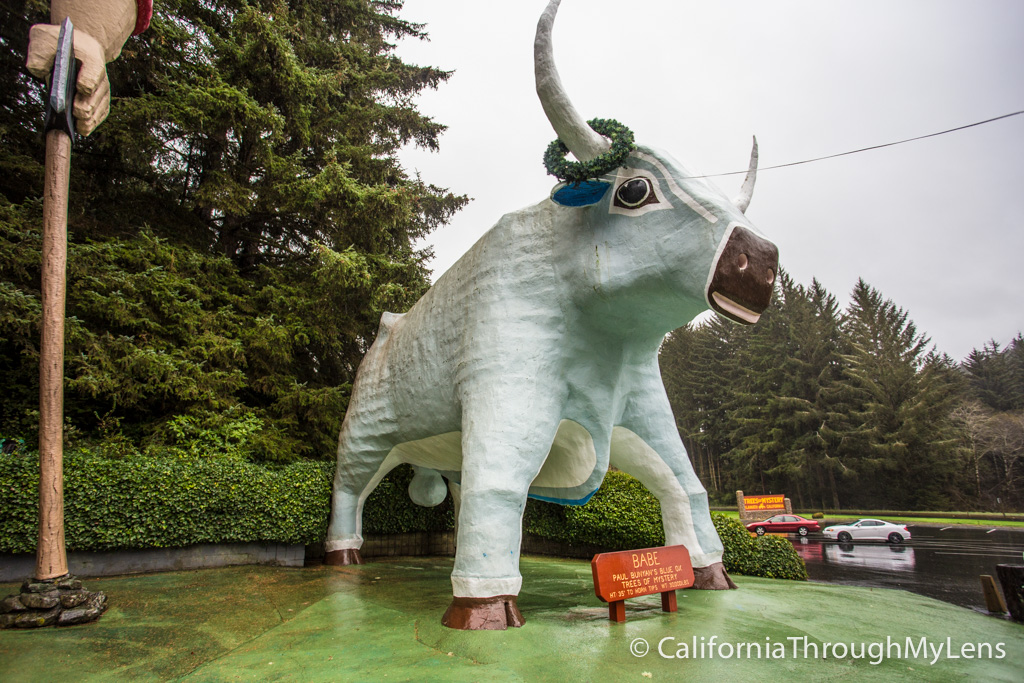 Trees of Mystery Giant Paul Bunyan, Crazy Trees and a Gondola Ride