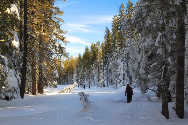 Yosemite-Snowshoe-10