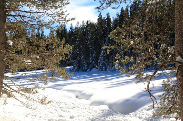 Yosemite-Snowshoe-11