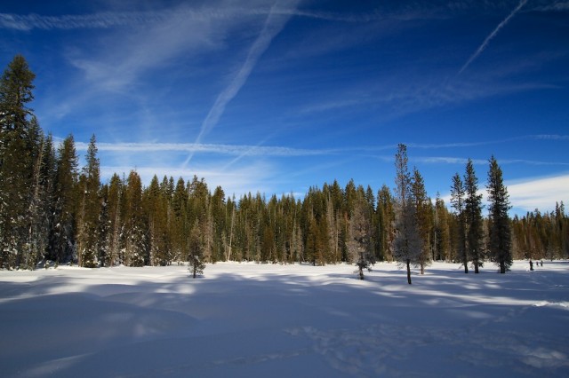 Yosemite-Snowshoe-12