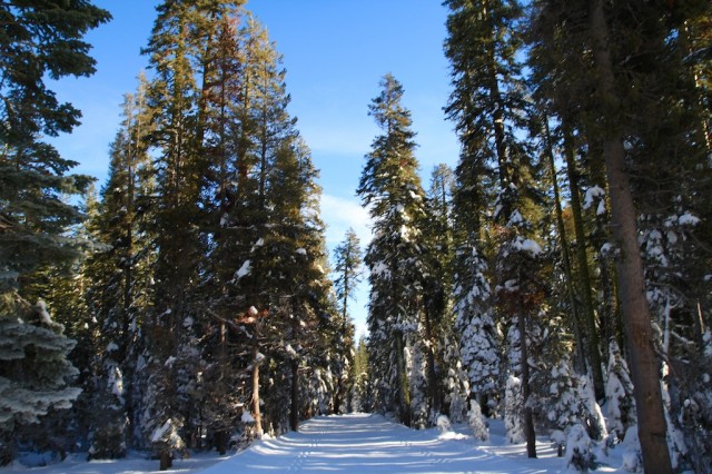 Yosemite-Snowshoe-4