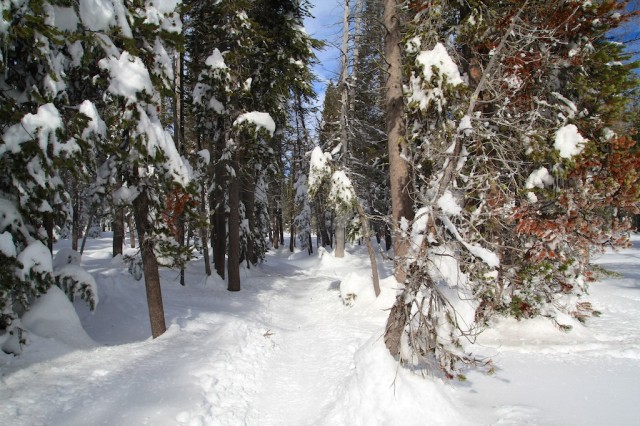 Yosemite-Snowshoe-7