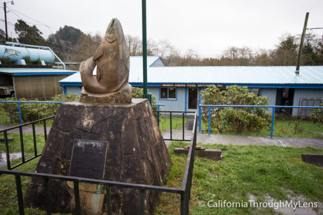 fish hatchery sign-1