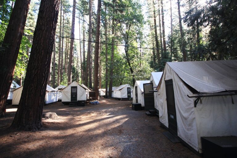 Curry Village Review: Yosemite’s Famous Canvas Tent Cabins