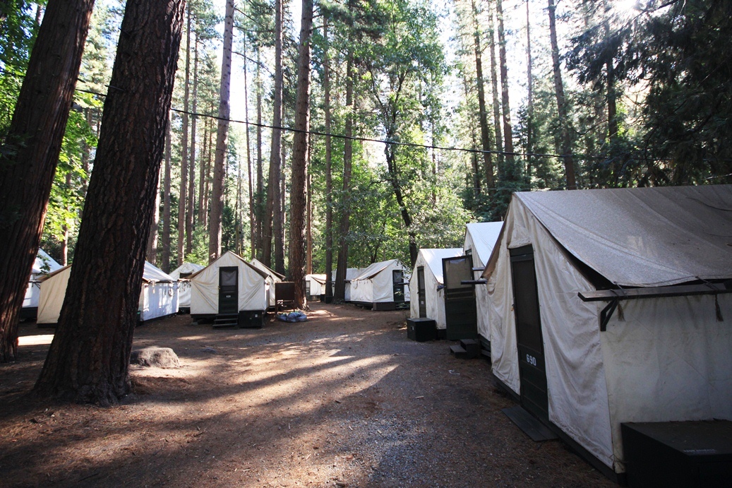 Canvas Tent Cabins