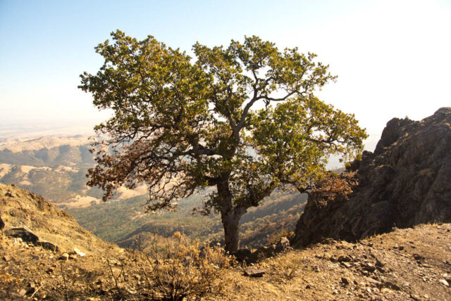 North Peak Mt Diablo 1