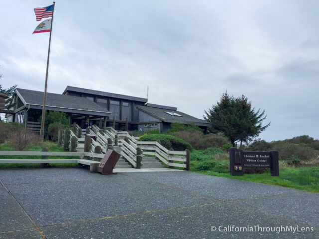 Redwoods Visitor Center-1