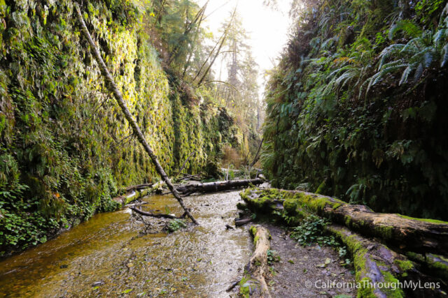 Camping near fern canyon sale