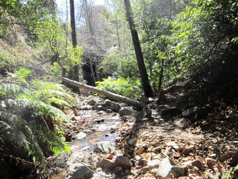 Holy Jim Falls: Hiking in Orange County