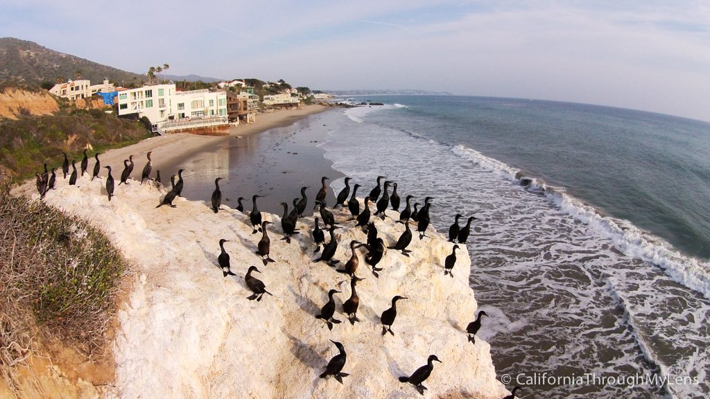 El Matador State Beach Malibus Best Kept Secret California Through