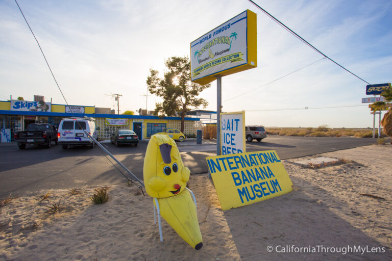 International Banana Museum: Salton Sea’s Wacky Museum