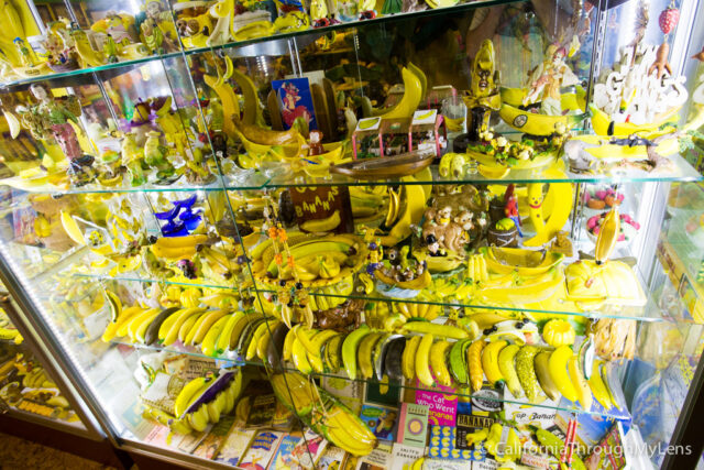 International Banana Museum-4