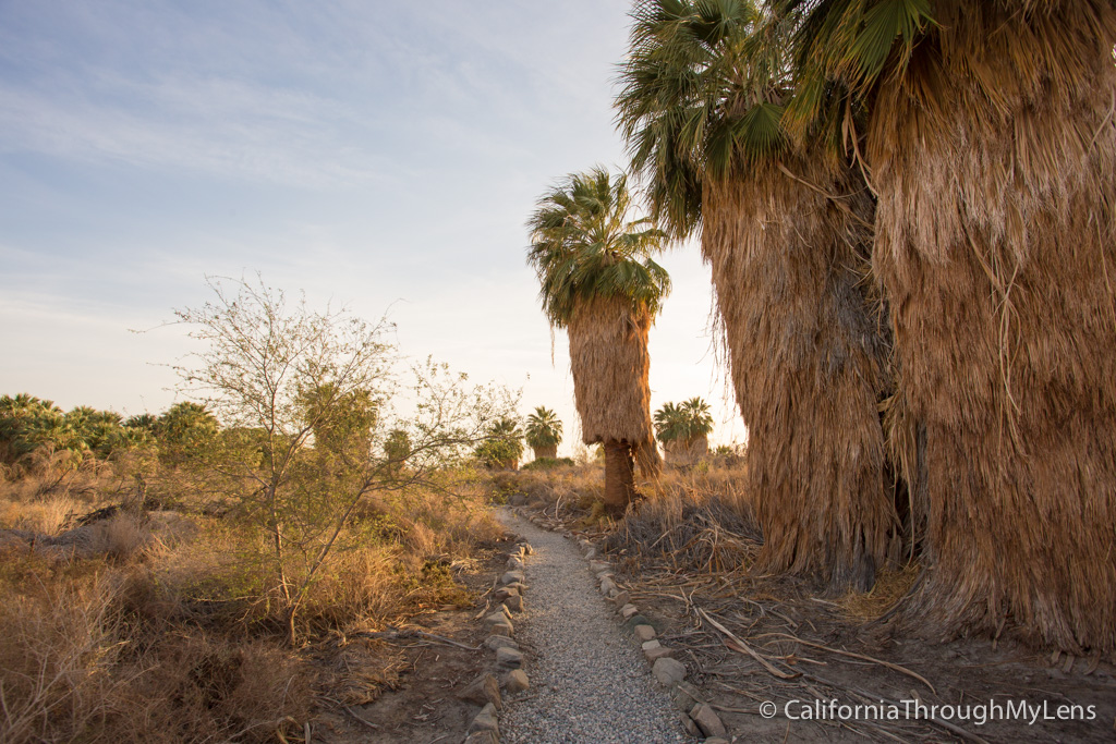 San Andres Trail-4