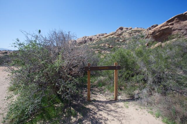 Vasquez Rocks 18