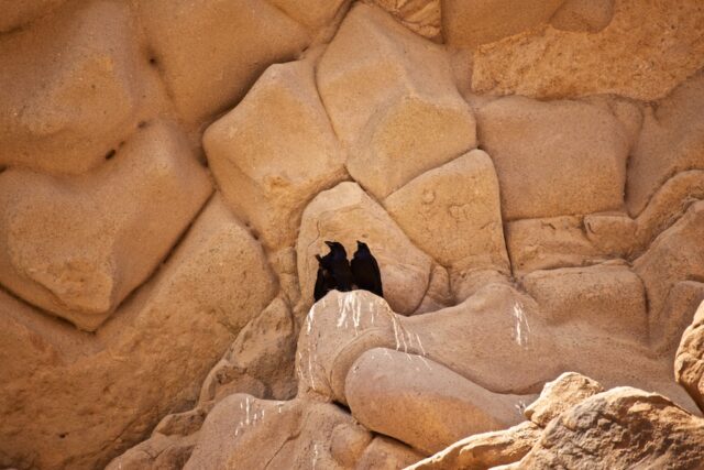 Vasquez Rocks 6