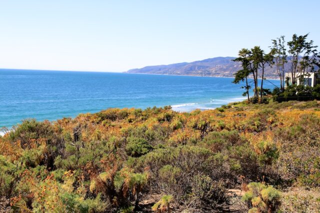 Point-Dume-Malibu