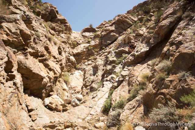 Goat Canyon Trestle-16