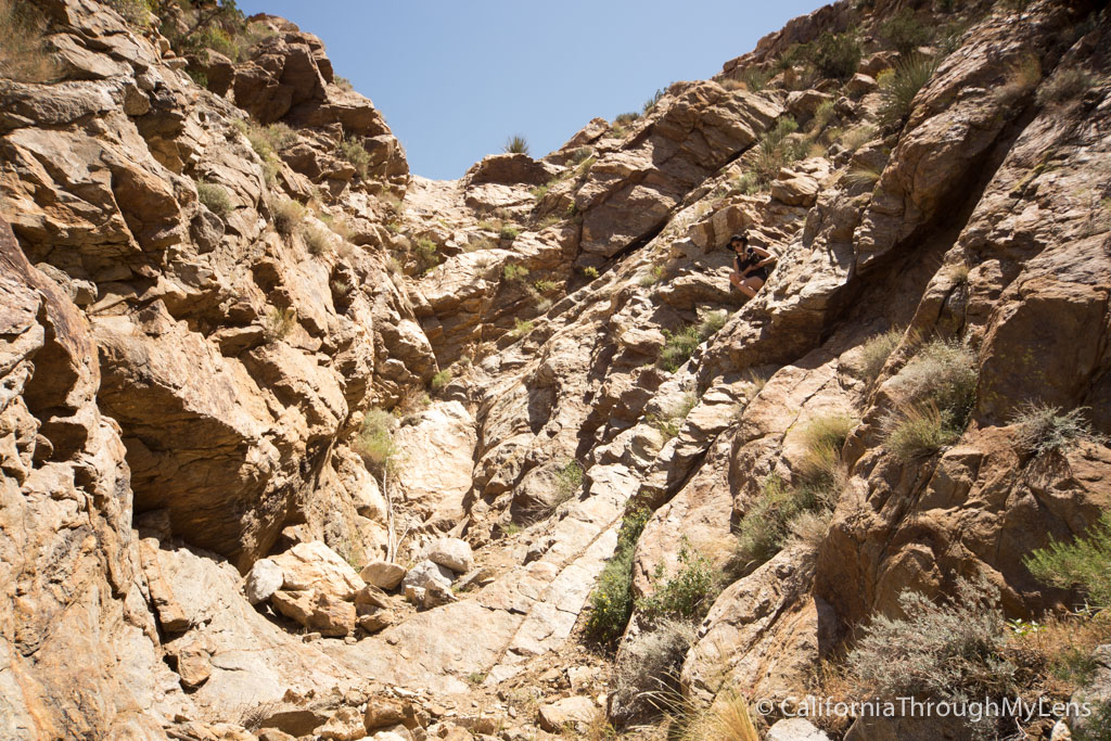 Goat Canyon Trestle Bridge Hike: Worlds Largest Wooden Trestle ...