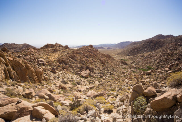 Goat Canyon Trestle-6