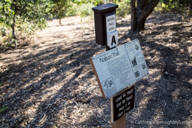 Conejo Valley Botanical Gardens In Thousand Oaks California