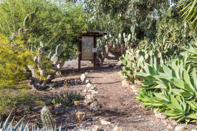 Conejo Valley Botanic Garden-17