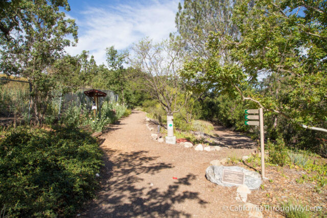 Conejo Valley Botanic Garden-19