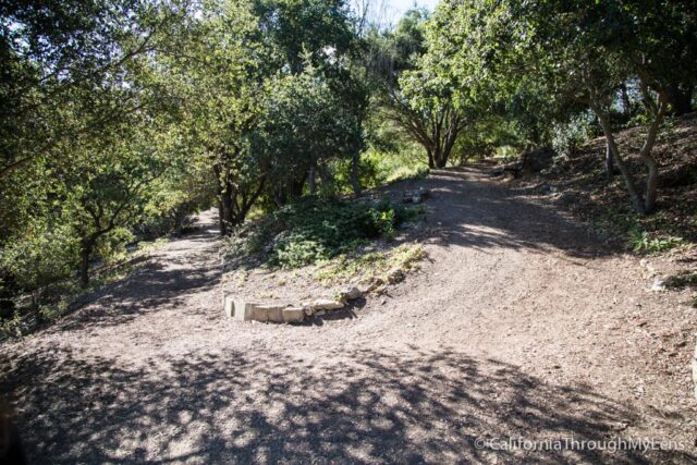 Conejo Valley Botanic Garden-2