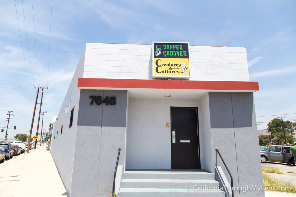 Dapper Cadaver Hollywood's Favorite Horror Movie Prop Store California Through My Lens