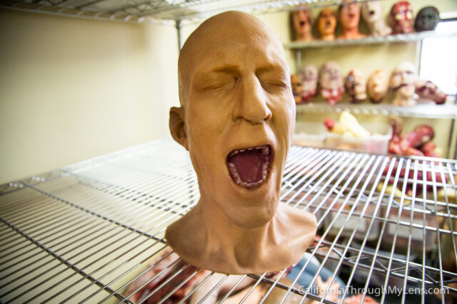 Olly Head Prop – Dapper Cadaver Props