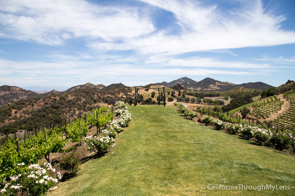 Malibu Family Wines and Safari: Feed Yaks & Zebras at a Malibu Winery ...