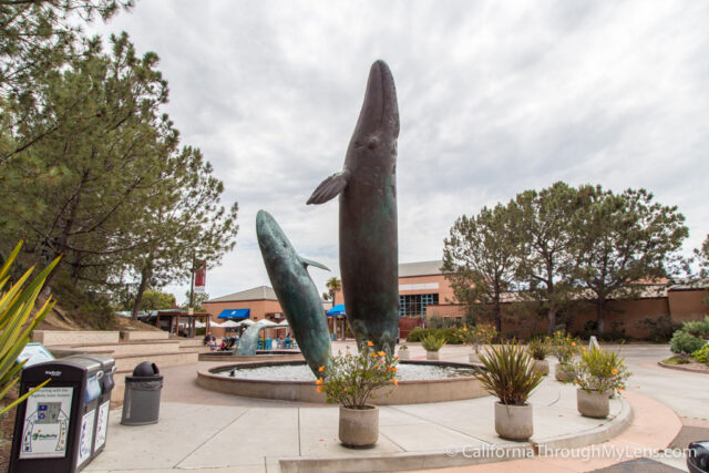 Birch Aquarium at Scripps Photo Gallery, La Jolla Venue