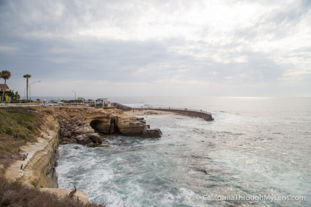 Children's Pool La Jolla: The Best Spot For Seals Viewing - California  Through My Lens