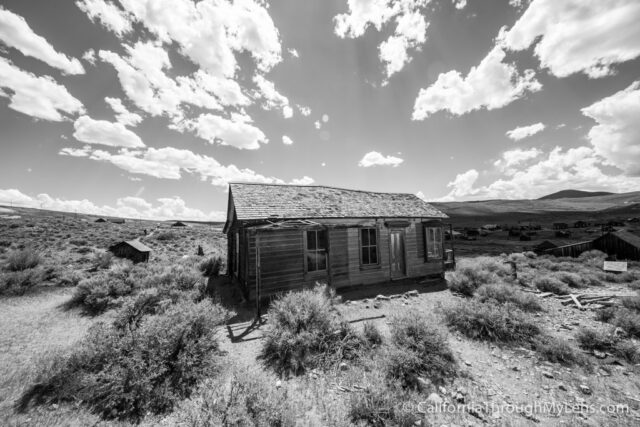 Bodie-12