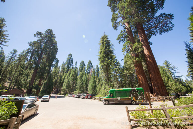 Big Trees Transit Shuttle to Kings Canyon and What to Do When There