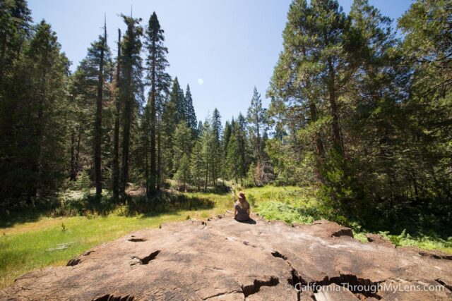 Kings Canyon Shuttle-7