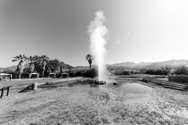 Old Faithful Geyser-6