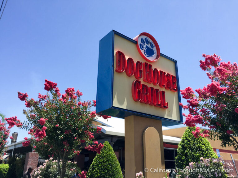Dog House Grill: A Great Place to Eat & Hang Out in Fresno