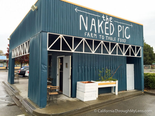 Naked Pig-8