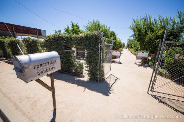 Forestiere Underground Gardens Escape The Heat In Fresno By Going