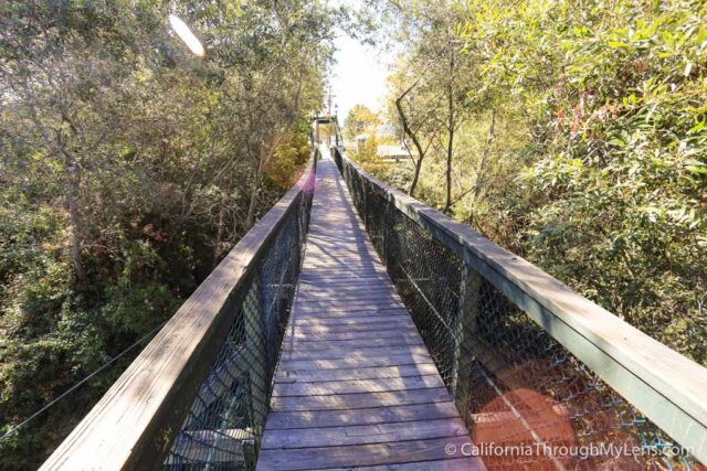 Arroyo Grande Bridge-7