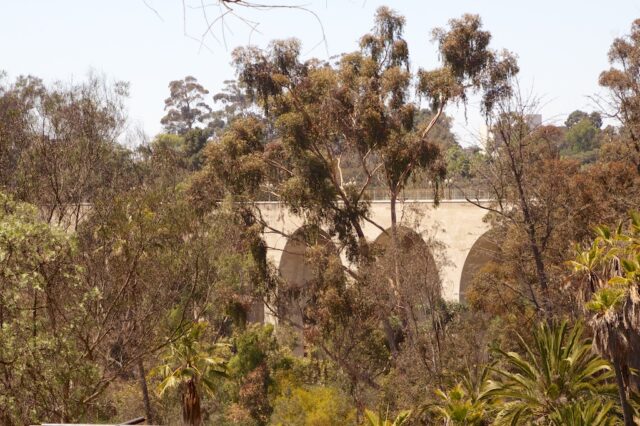 Cabrillo Bridge