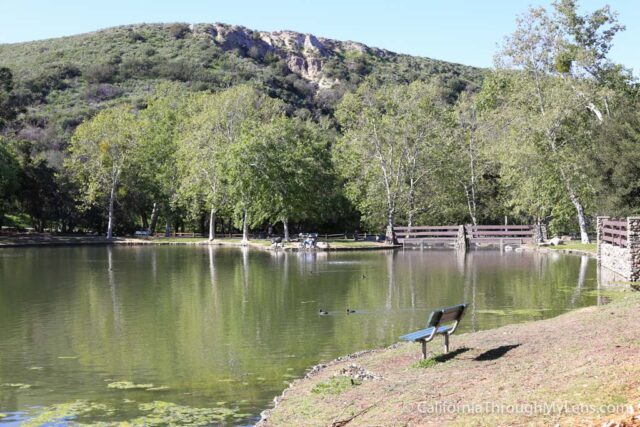 Irvine Lake Camping Fishing