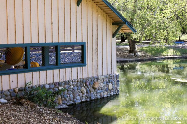 Irvine Regional Park And Zoo-3